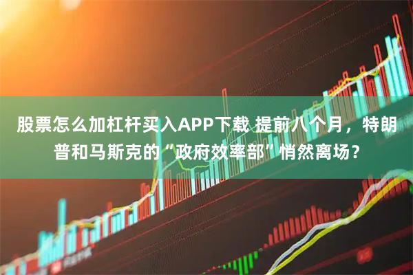 股票怎么加杠杆买入APP下载 提前八个月，特朗普和马斯克的“政府效率部”悄然离场？